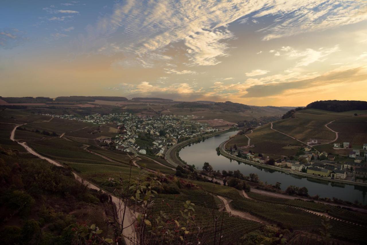 Weingut Und Gaestehaus Zilliken Ниттель Экстерьер фото