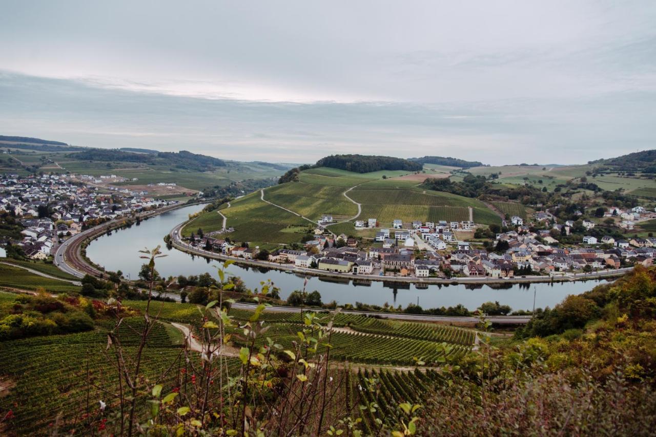 Weingut Und Gaestehaus Zilliken Ниттель Экстерьер фото